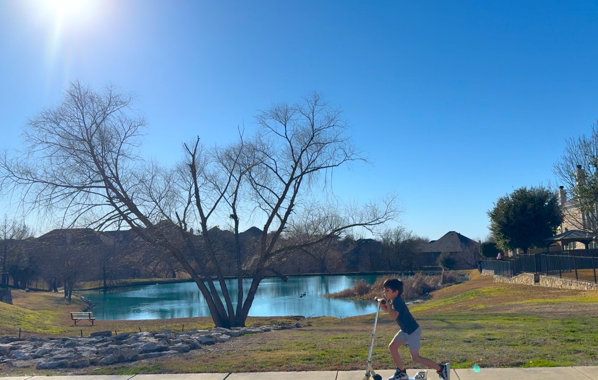 15221 Ringneck Street