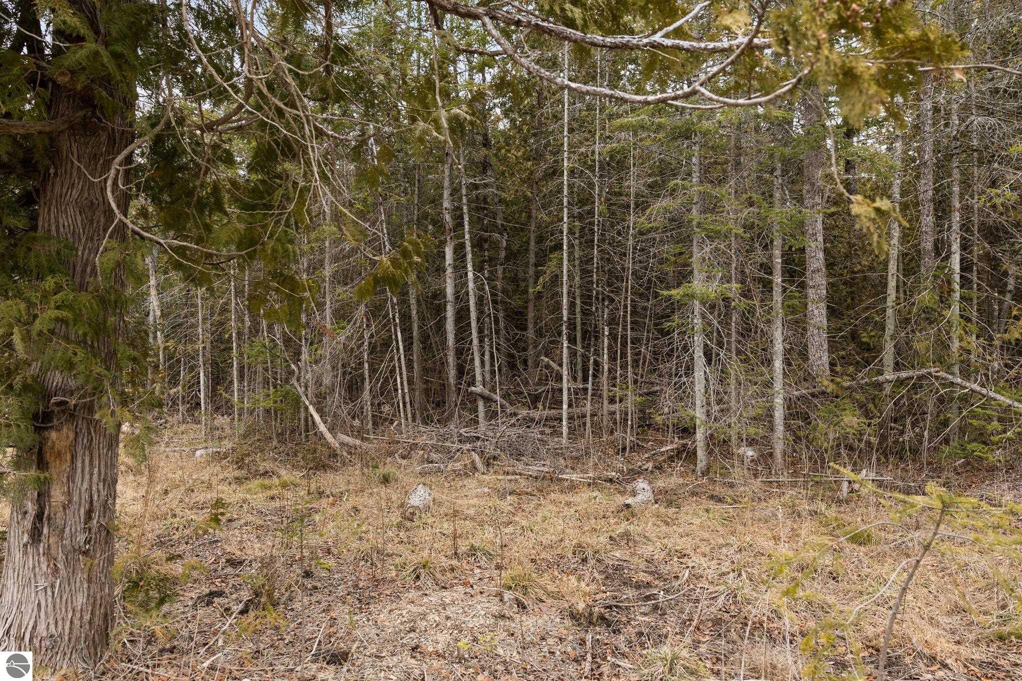 Lot 6 N Cathead Bay Drive