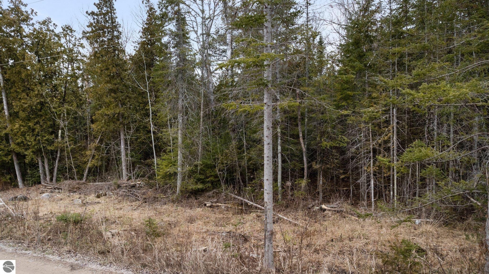 Lot 6 N Cathead Bay Drive