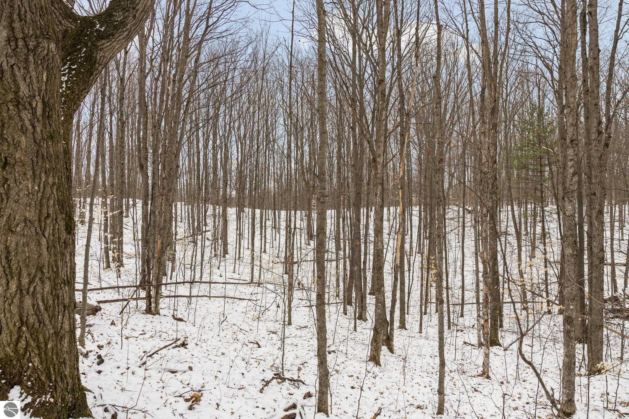 0 Lake Of The Woods Trail