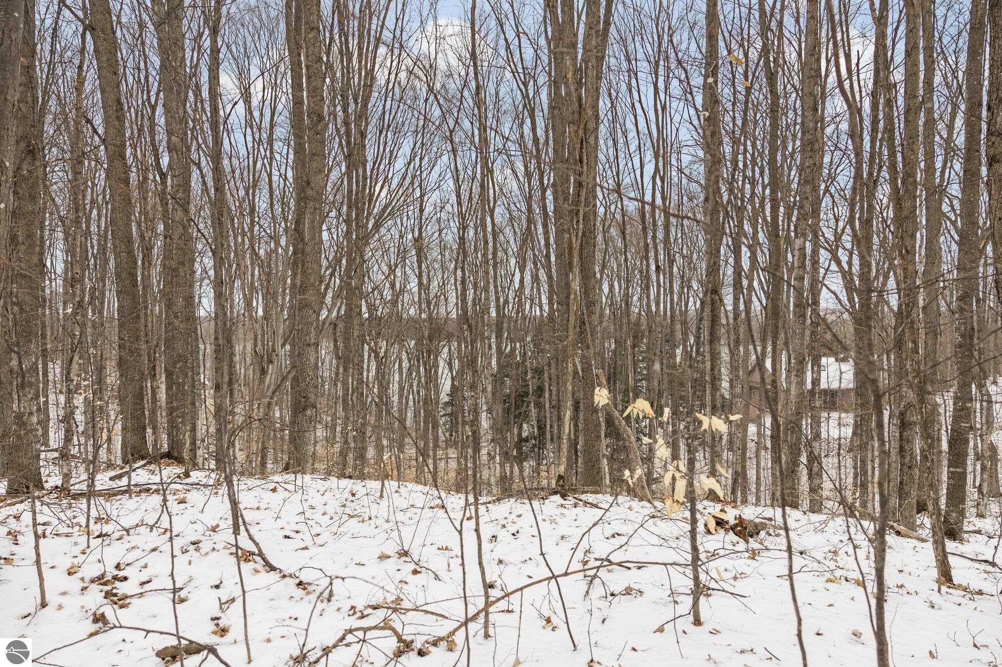 0 Lake Of The Woods Trail