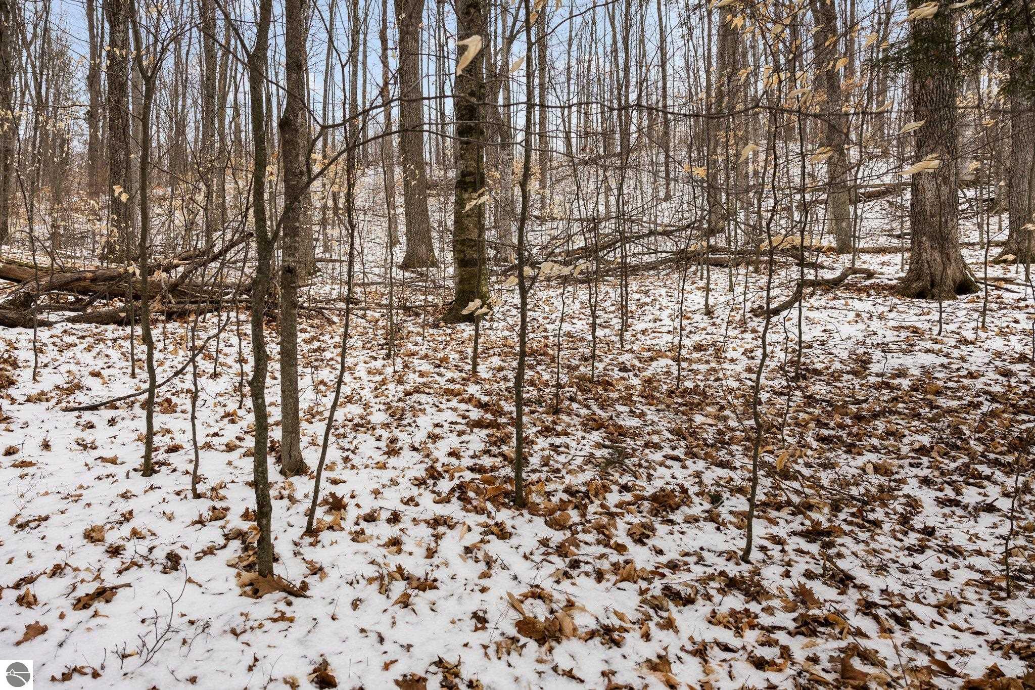 0 Lake Of The Woods Trail