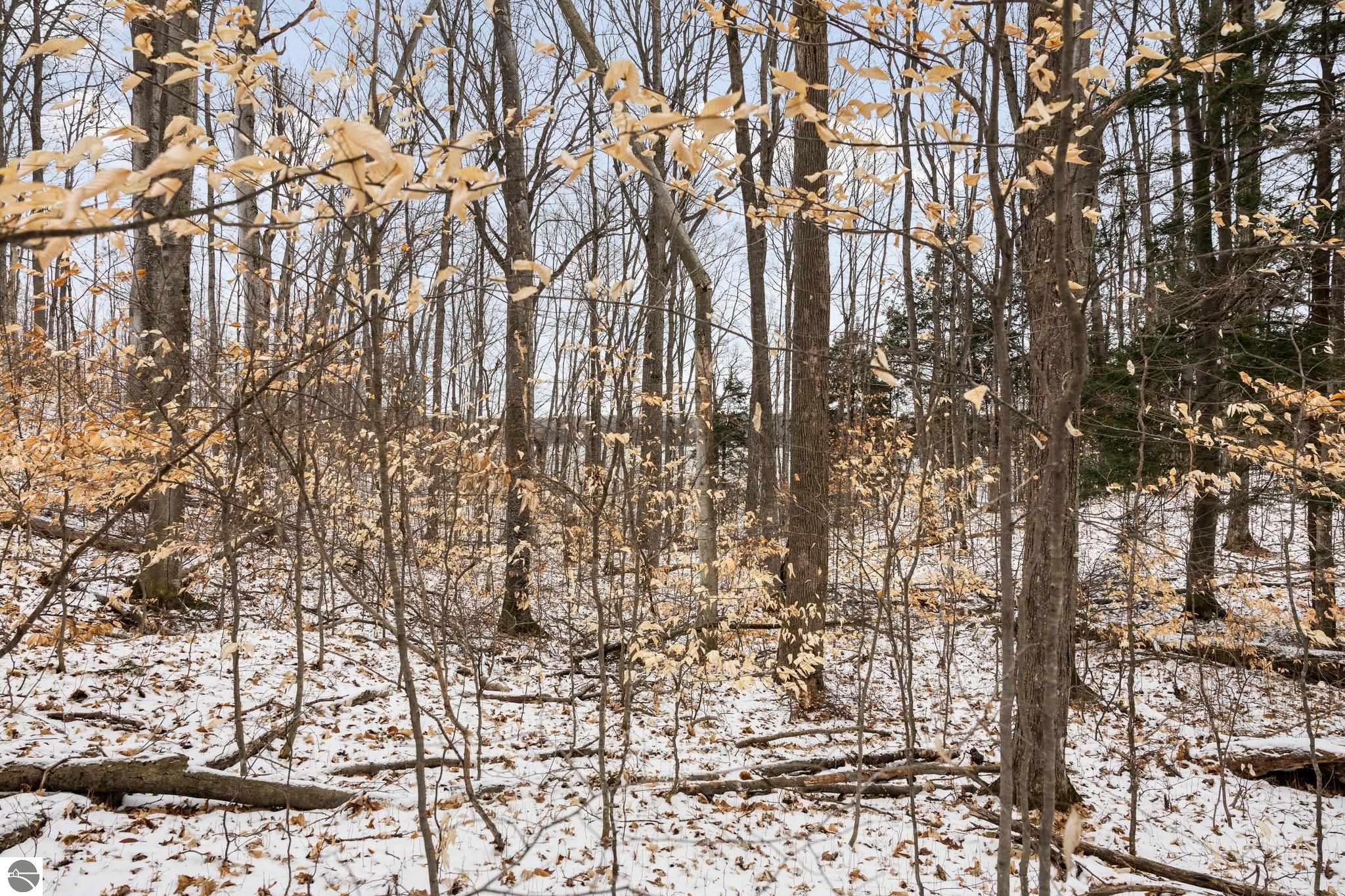 0 Lake Of The Woods Trail