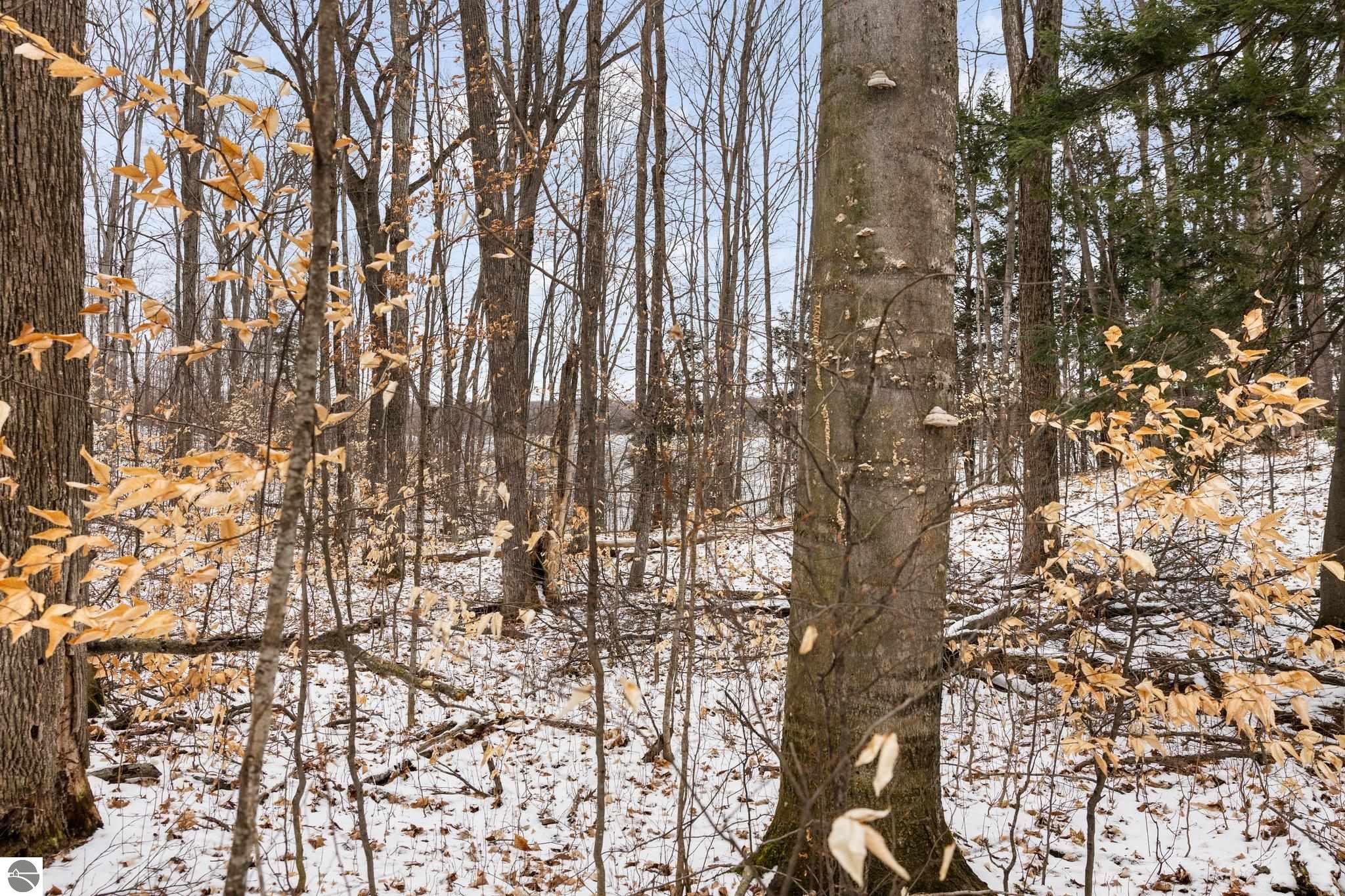0 Lake Of The Woods Trail