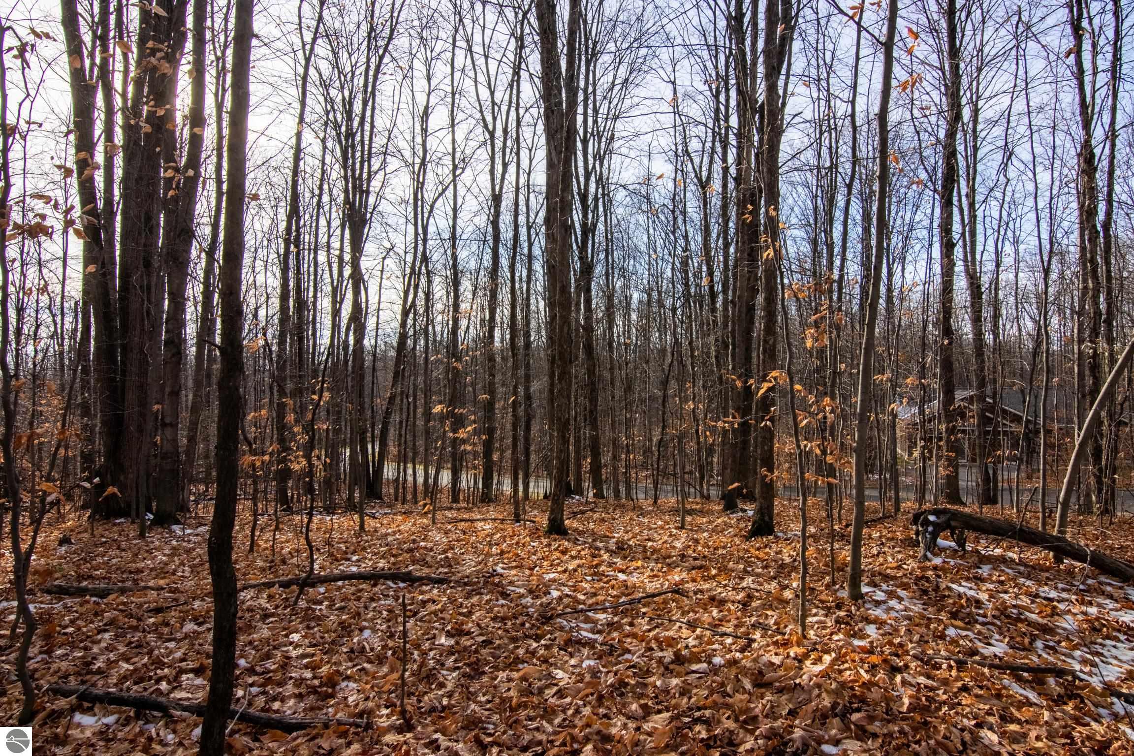 158 Forest Highlands