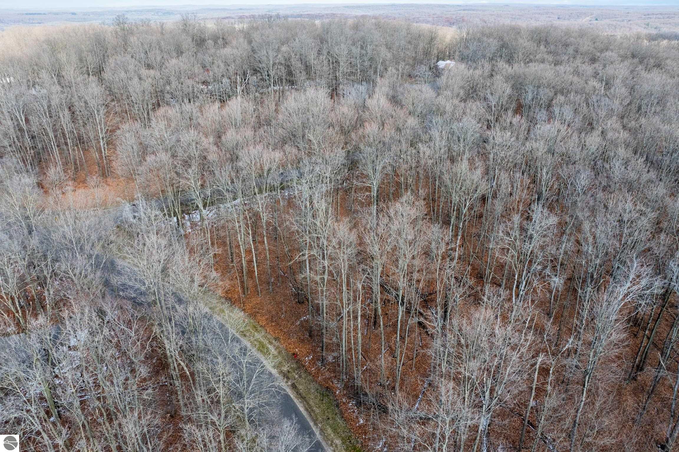 158 Forest Highlands