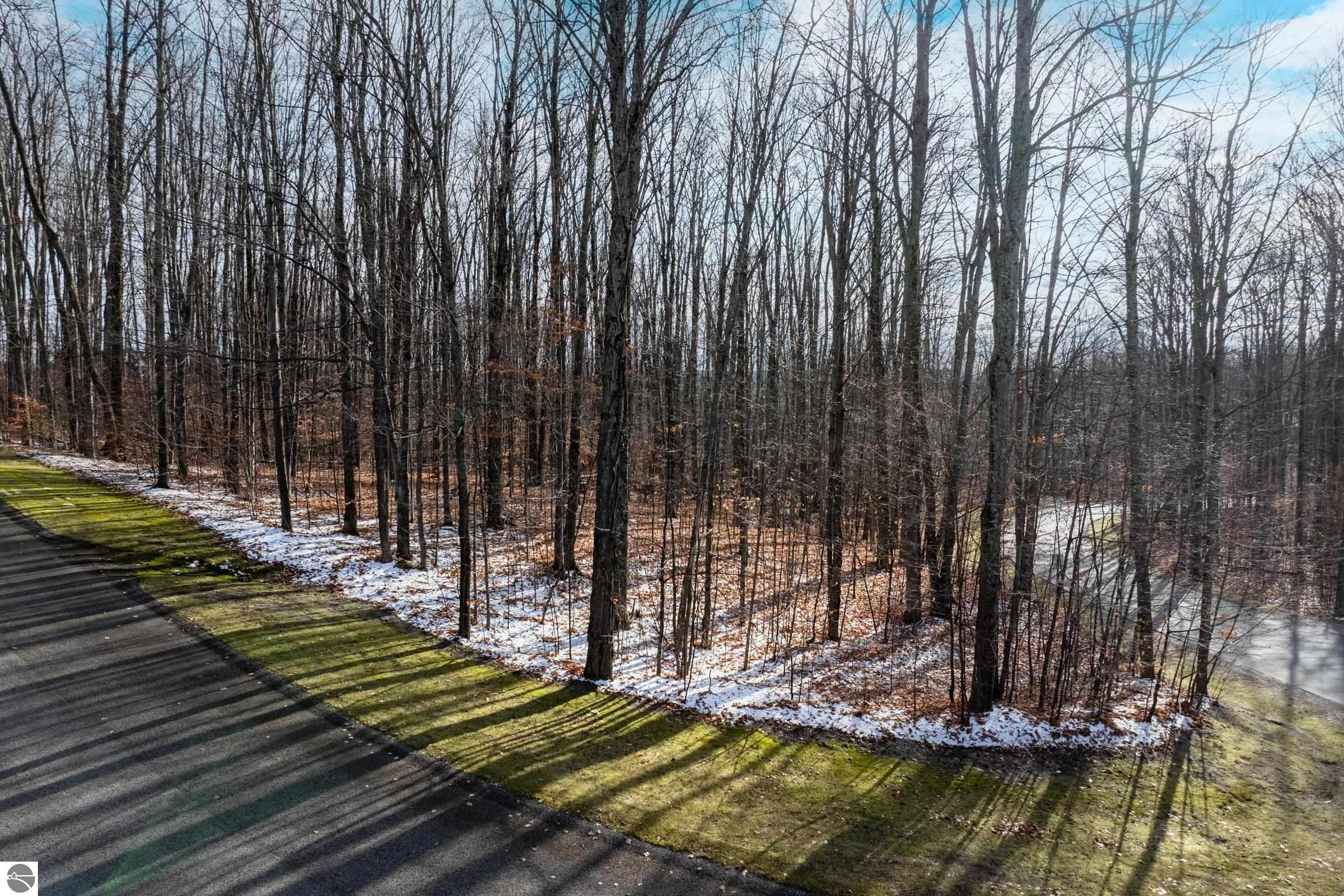 158 Forest Highlands