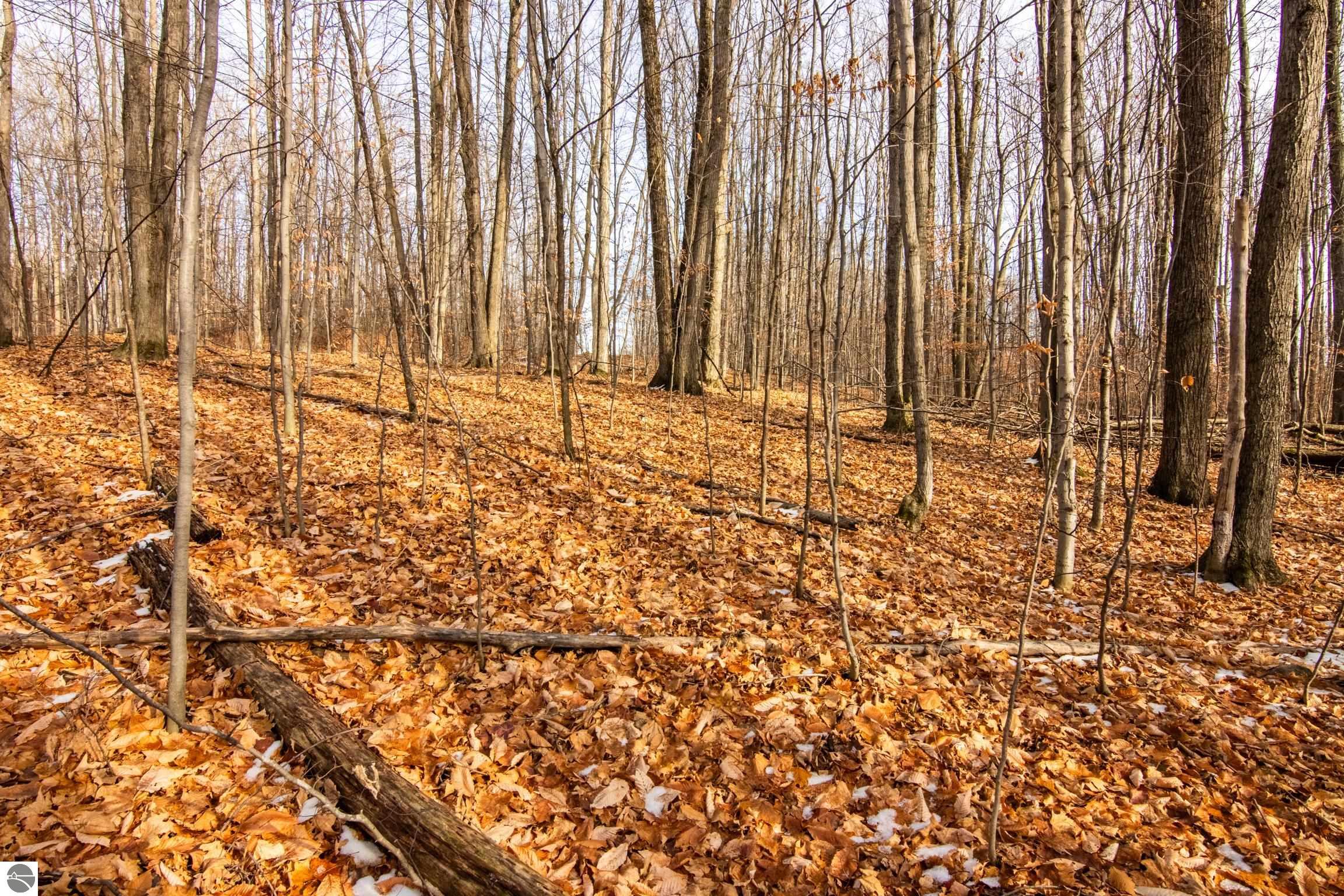 158 Forest Highlands