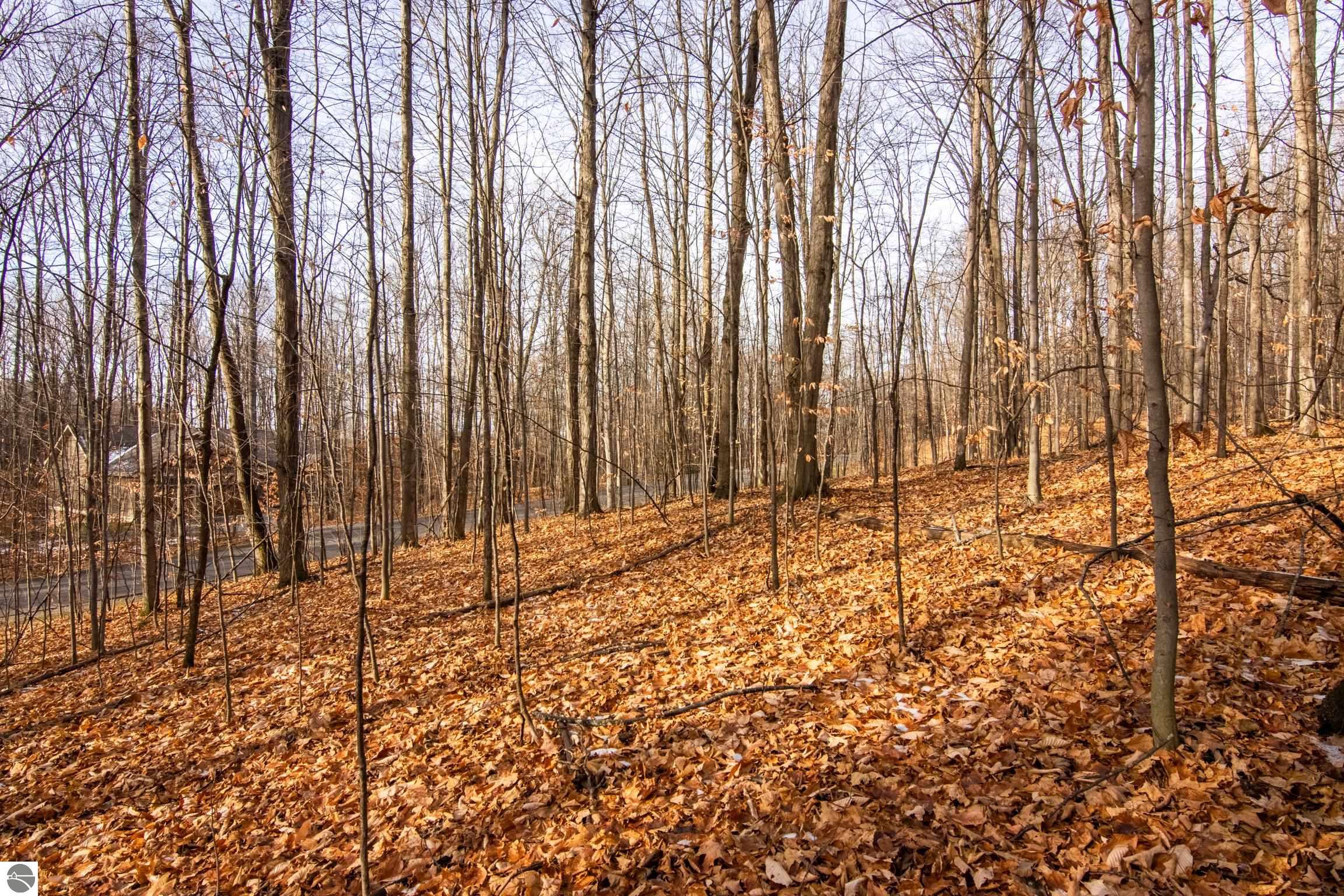 158 Forest Highlands