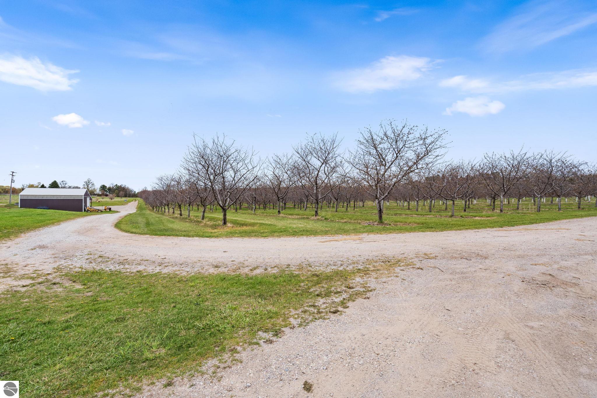 11751 Center Road