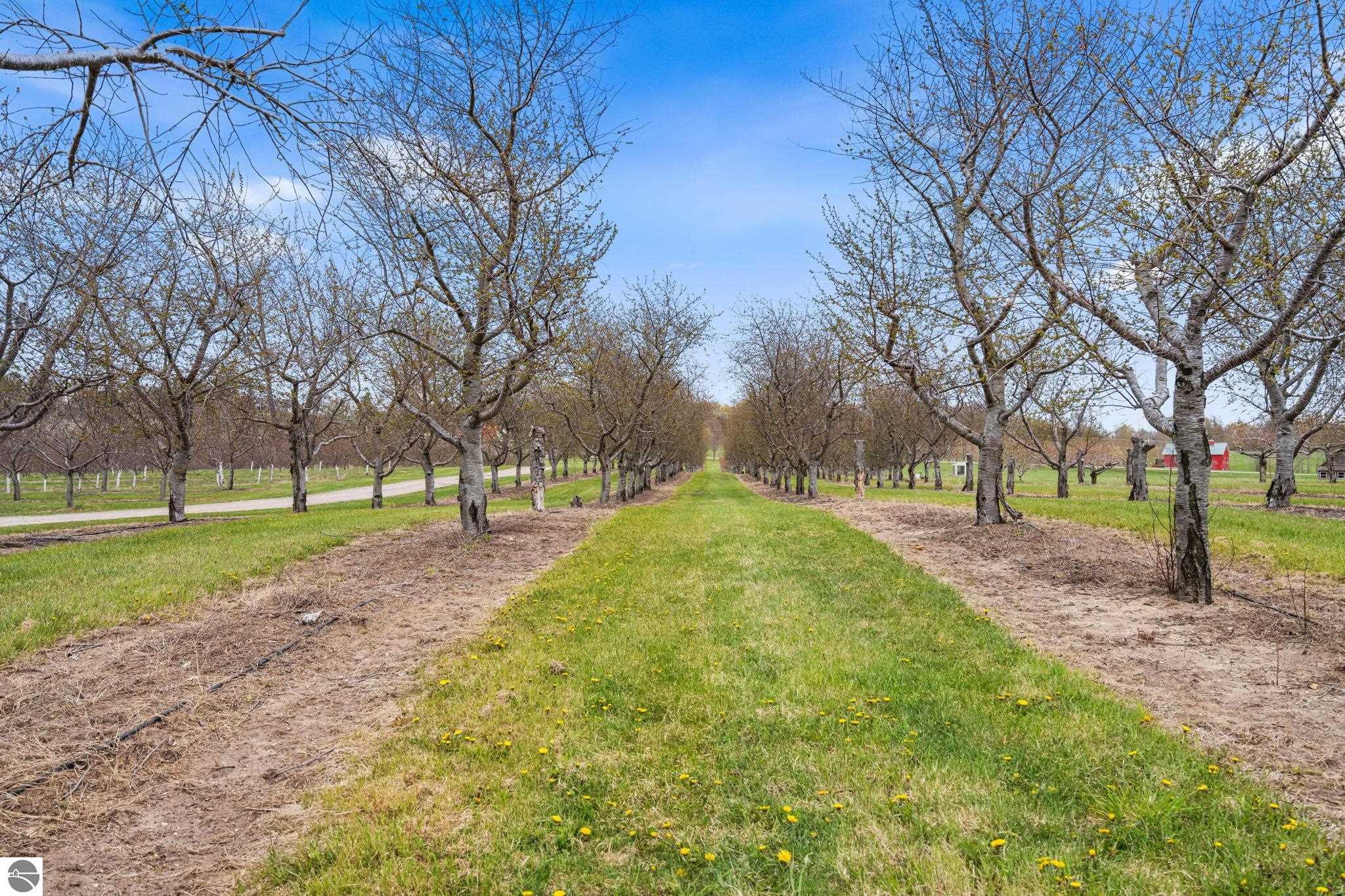 11751 Center Road