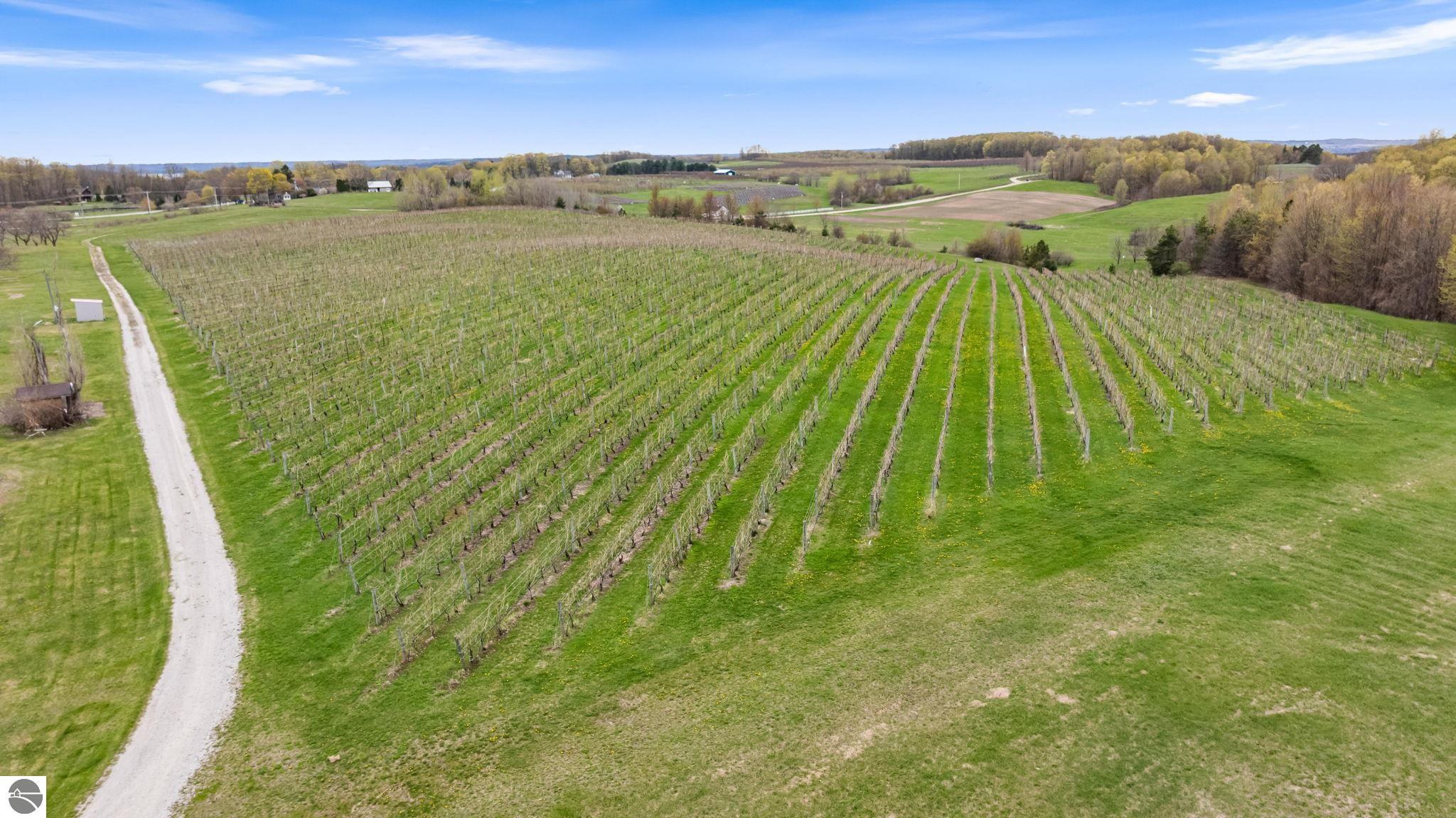 11751 Center Road