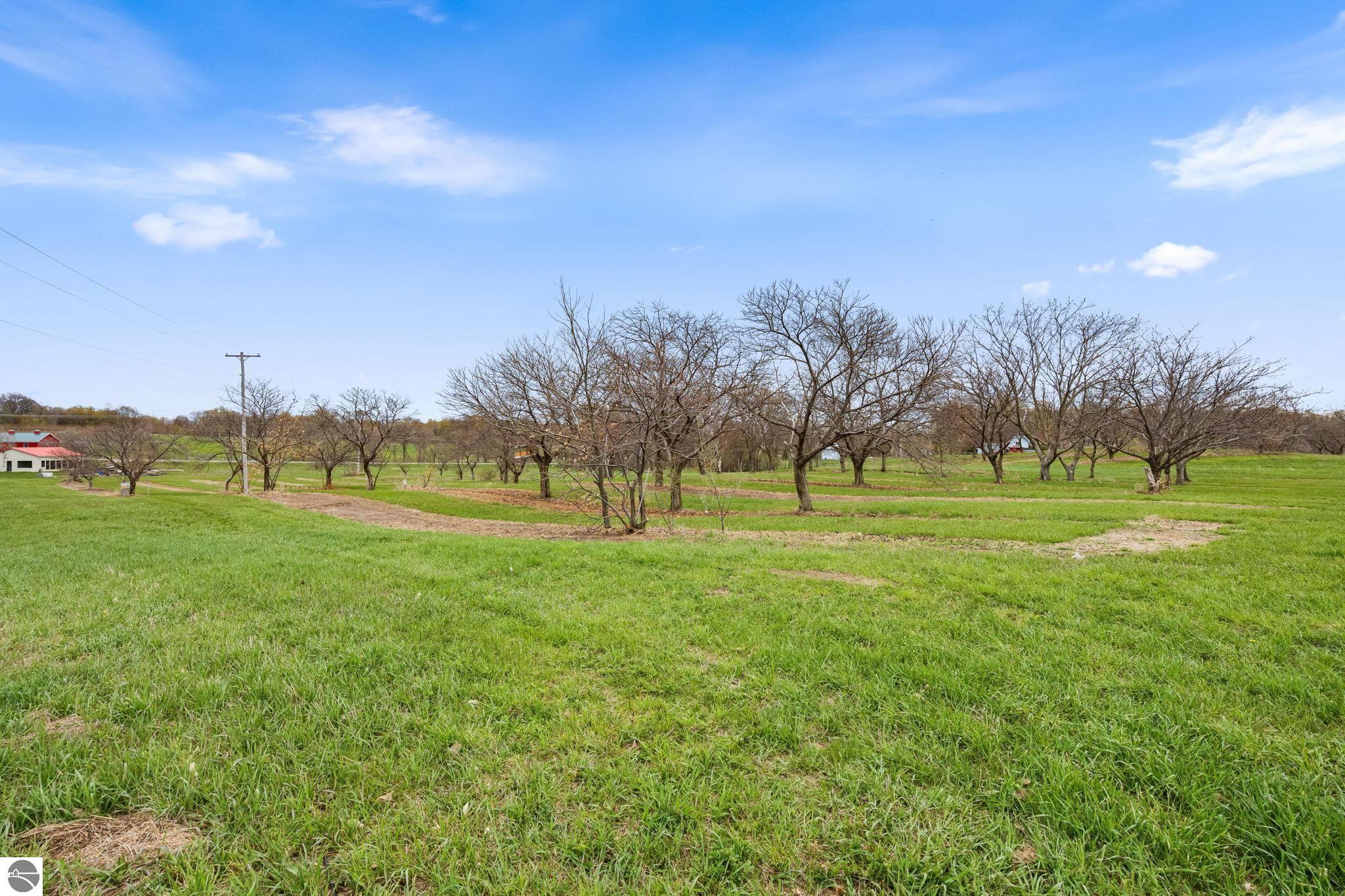 11751 Center Road