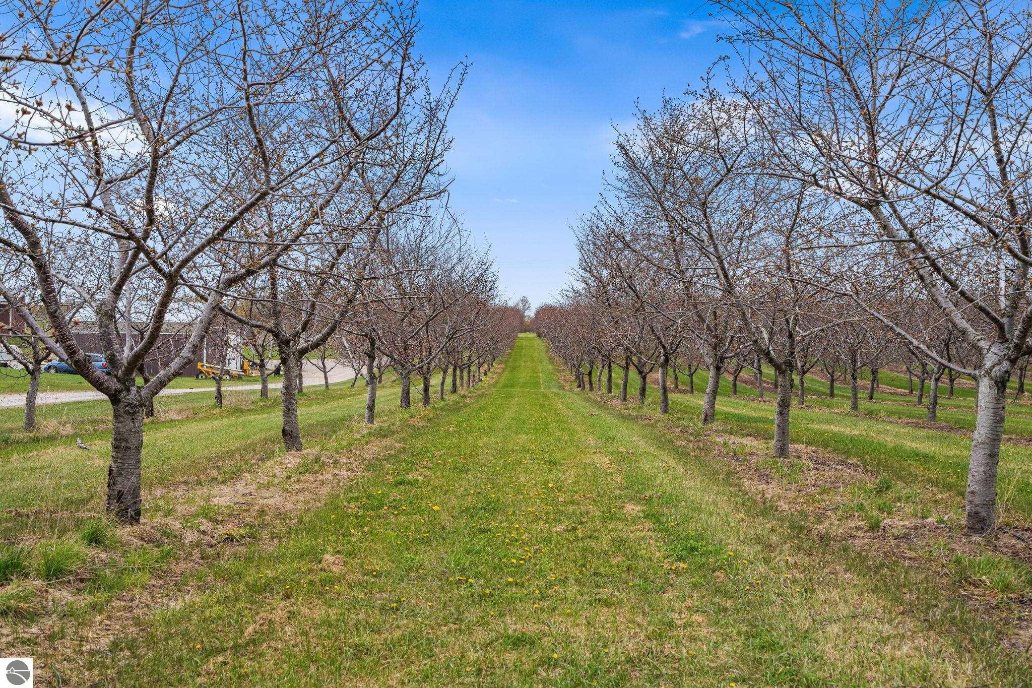 11751 Center Road