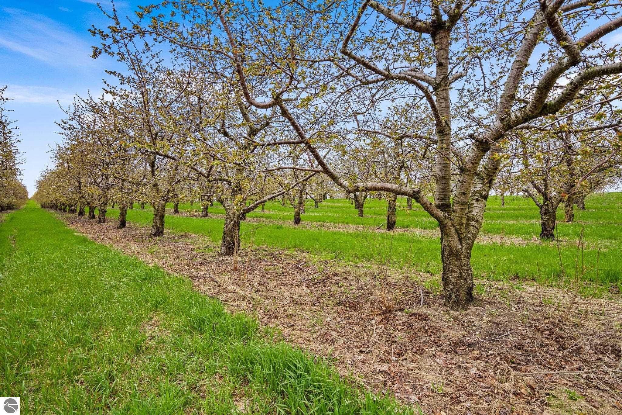 17835 Center Road