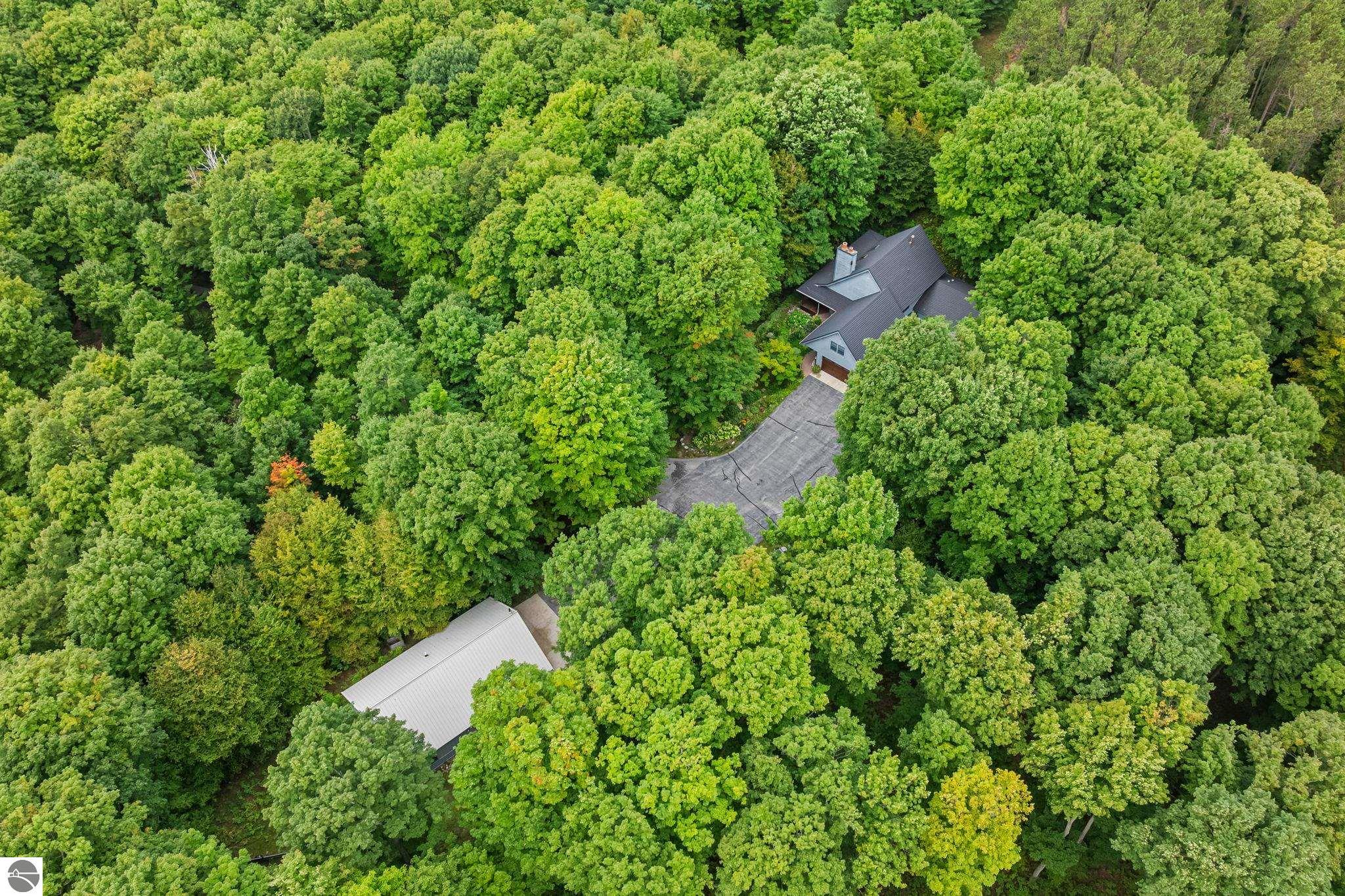 3285 S East Torch Lake Drive