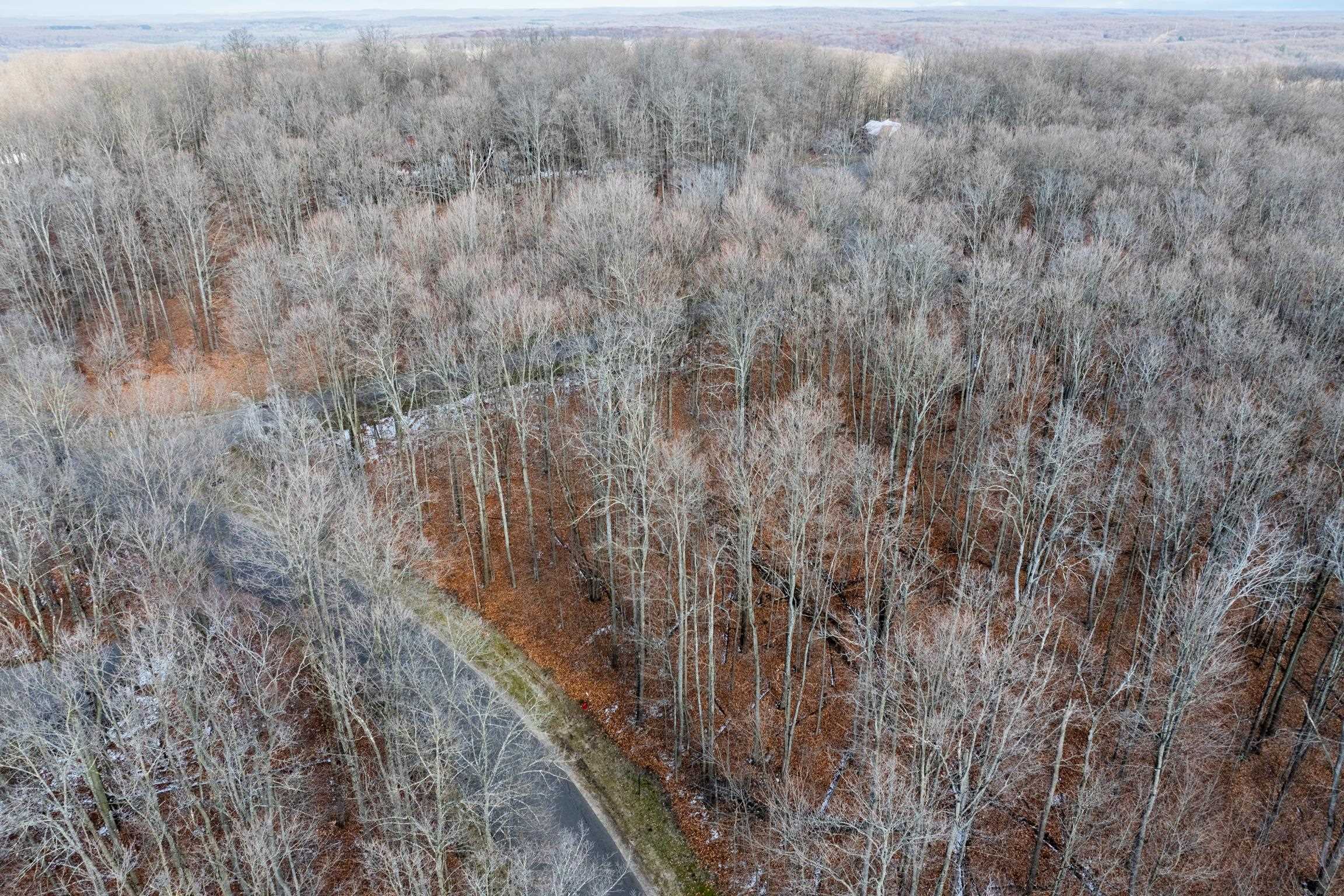 158 Forest Highlands