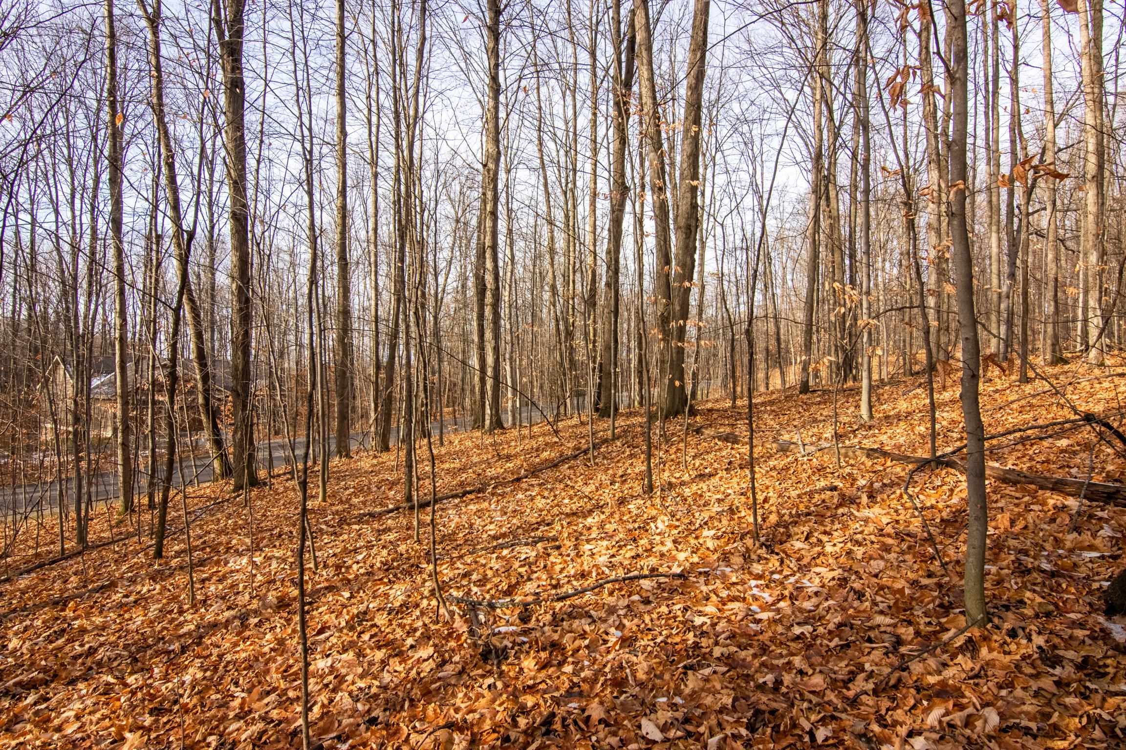 158 Forest Highlands