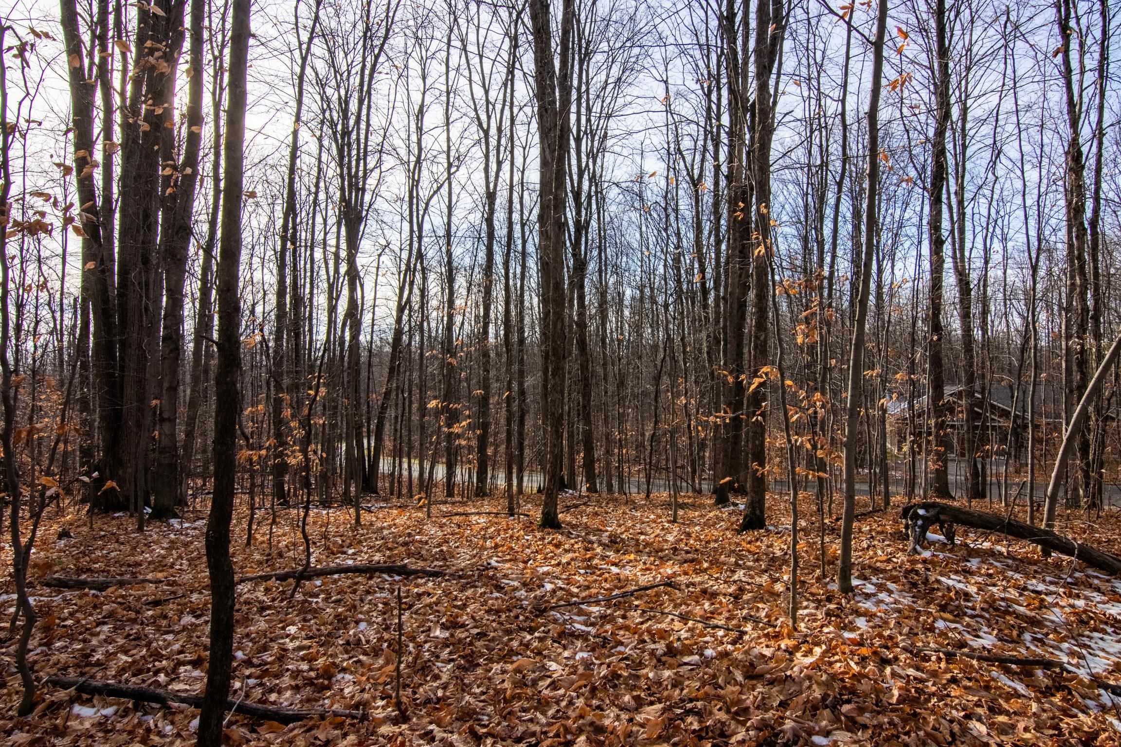 158 Forest Highlands
