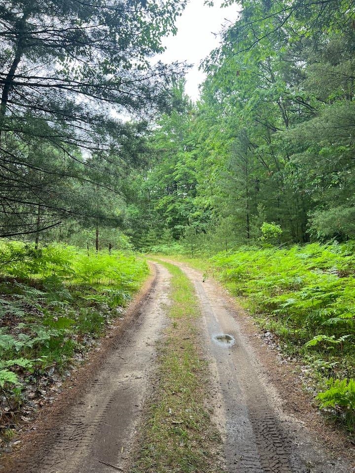 9289 E Eight Mile Road