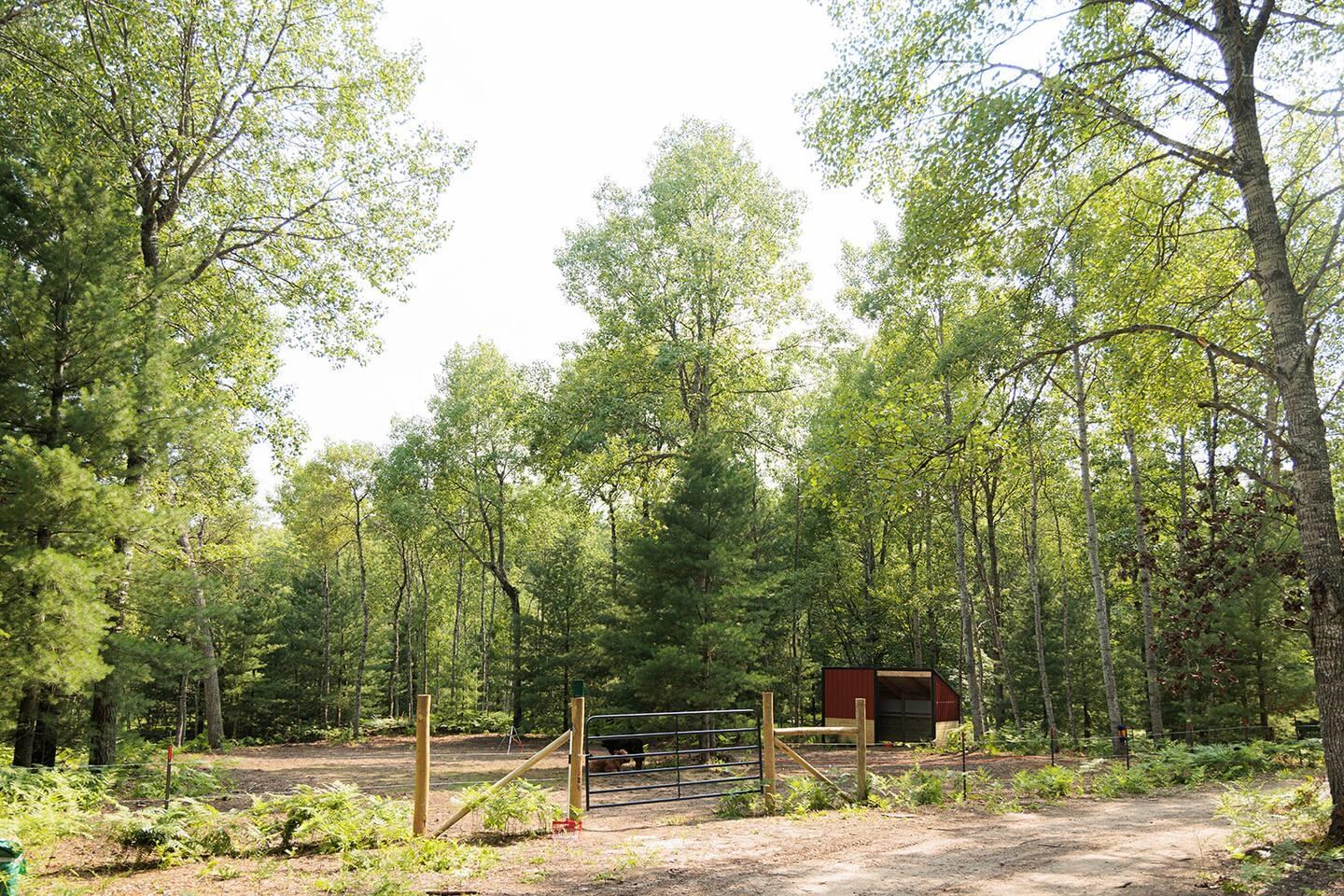 9289 E Eight Mile Road