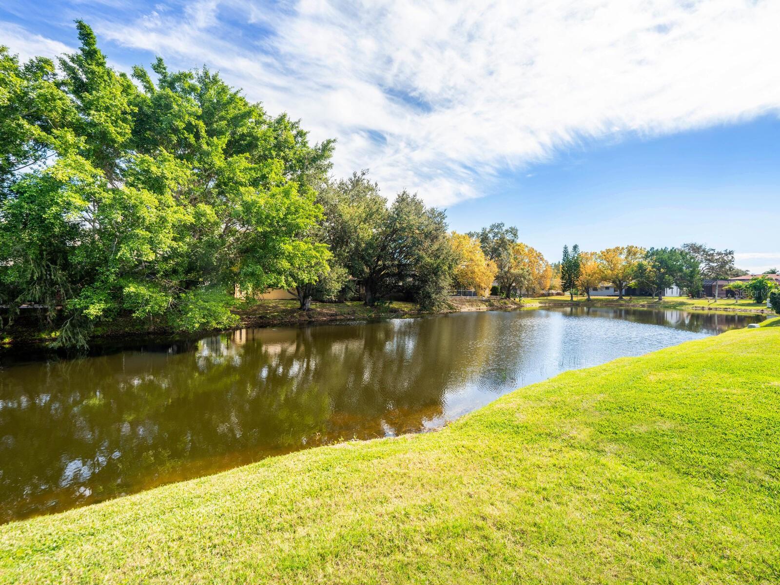 4419 MEADOW CREEK CIR