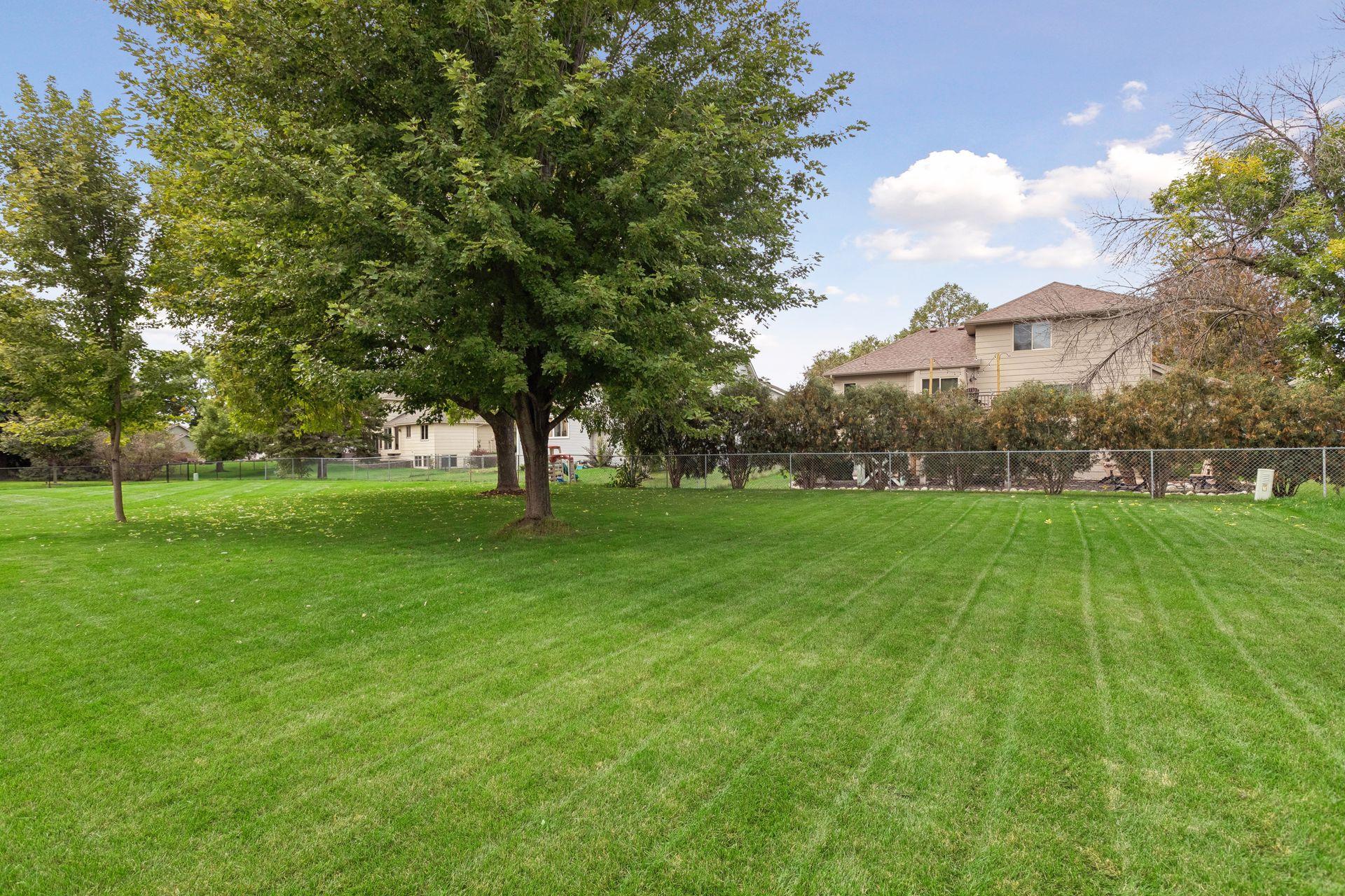 Spacious backyard with a broad lawn, mature shade tree, and fenced perimeter.
