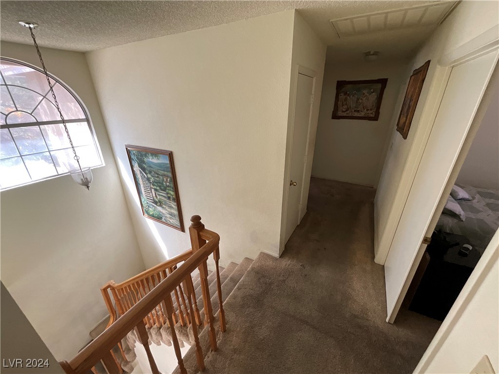 1520 Spreading Oak Drive