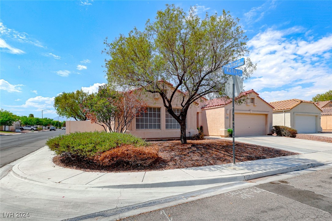 3405 Wild Filly Lane