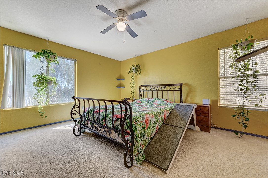 3193 Emerald Creek Drive