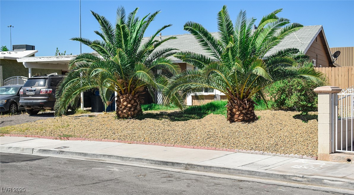89 Vallejo Avenue