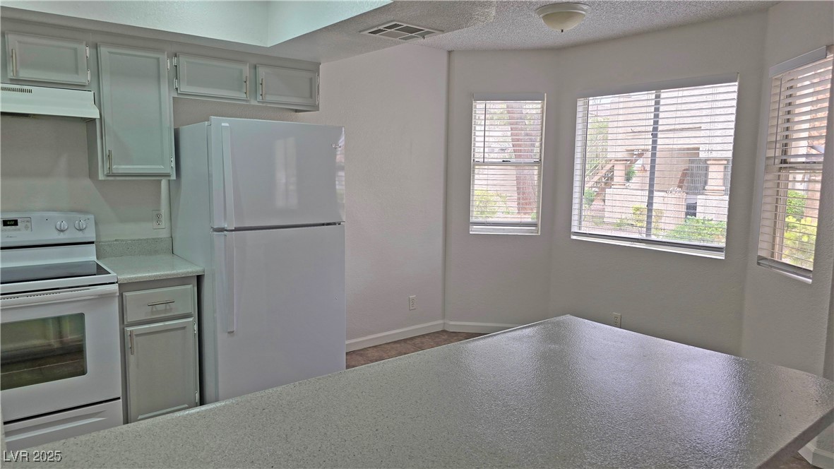 1309 Pinto Rock Lane 102