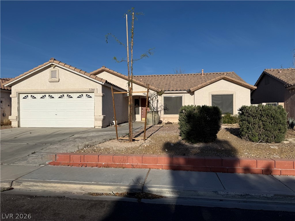 5244 French Lavender Street