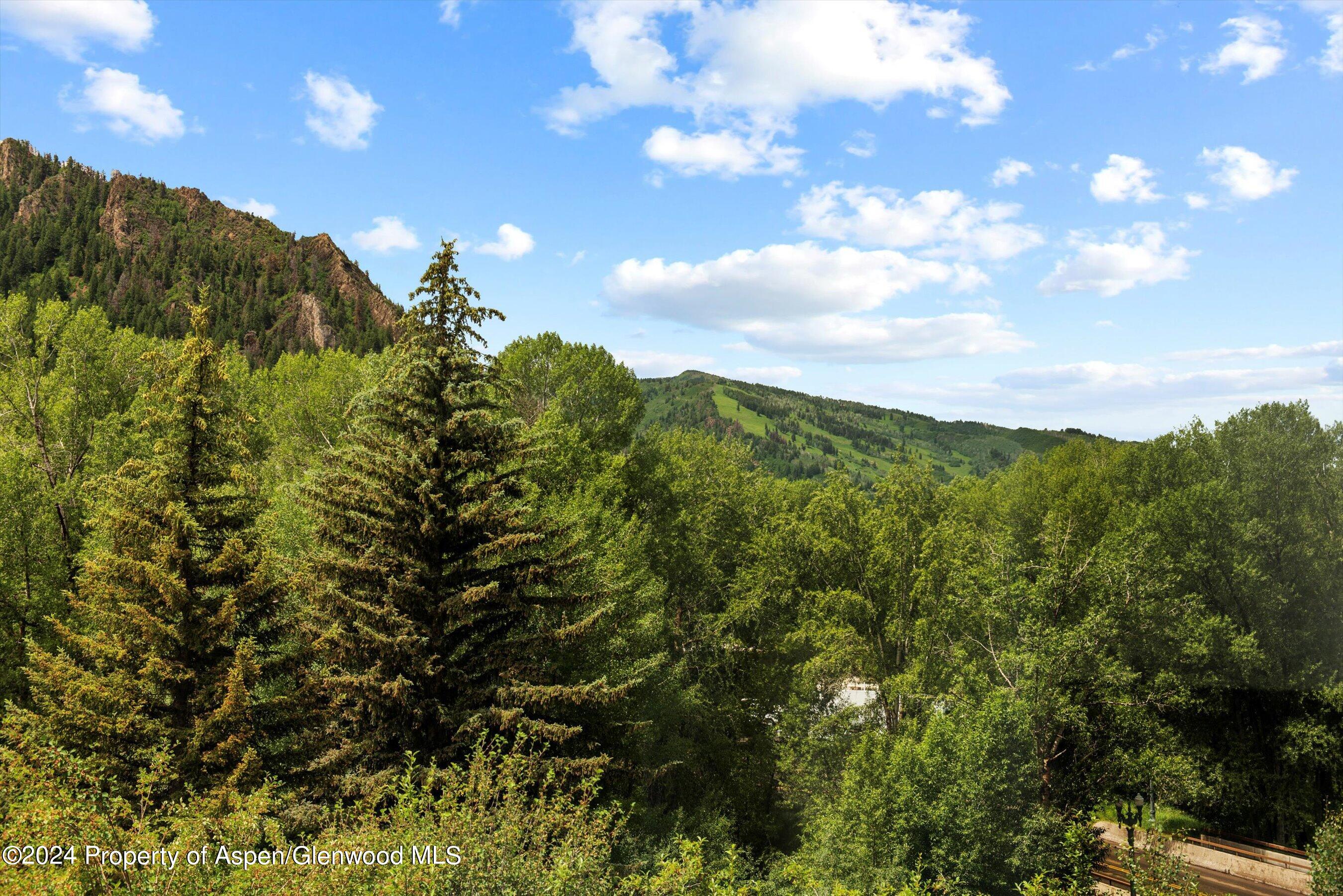 155 Lone Pine Road, Unit 8