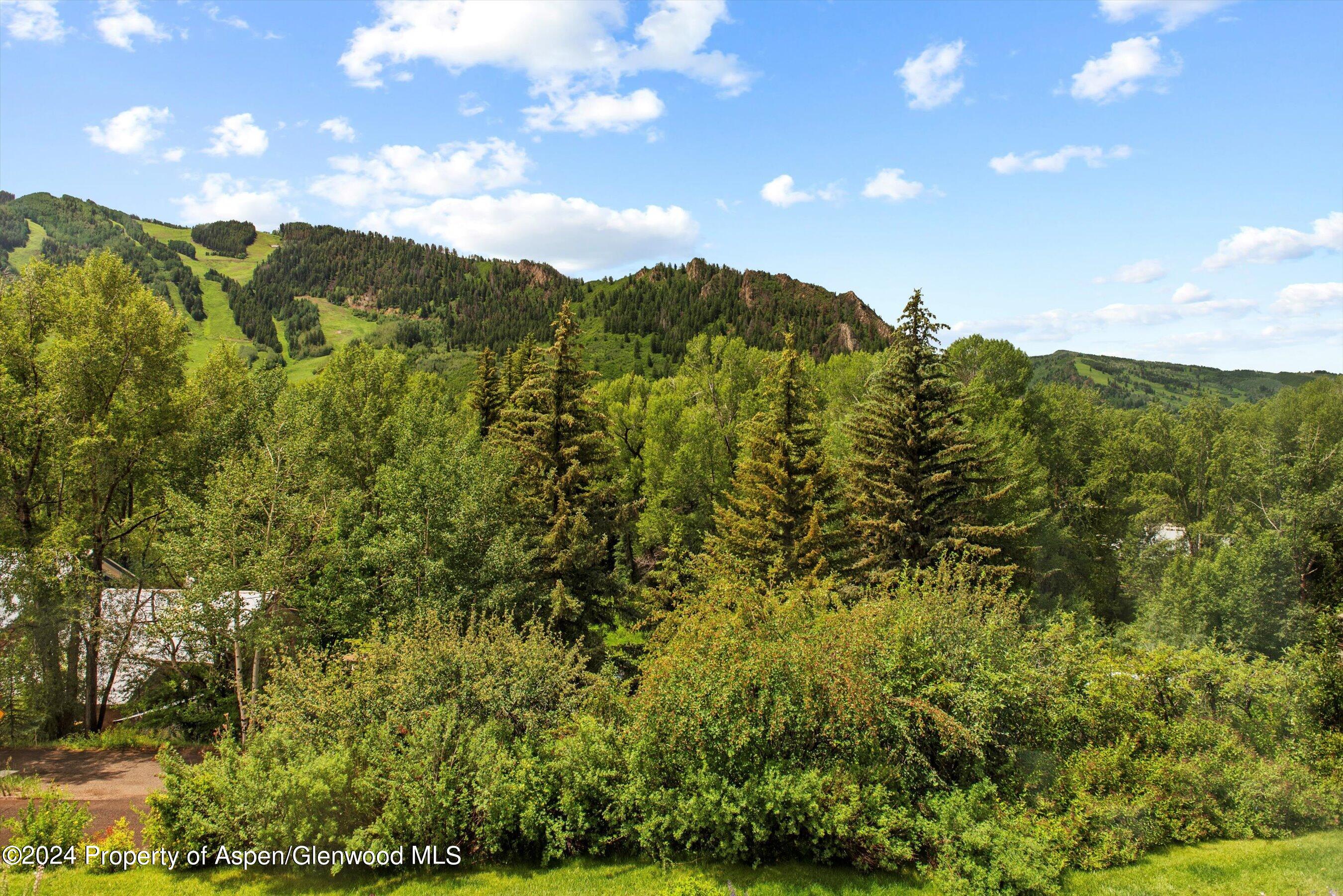 155 Lone Pine Road, Unit 8