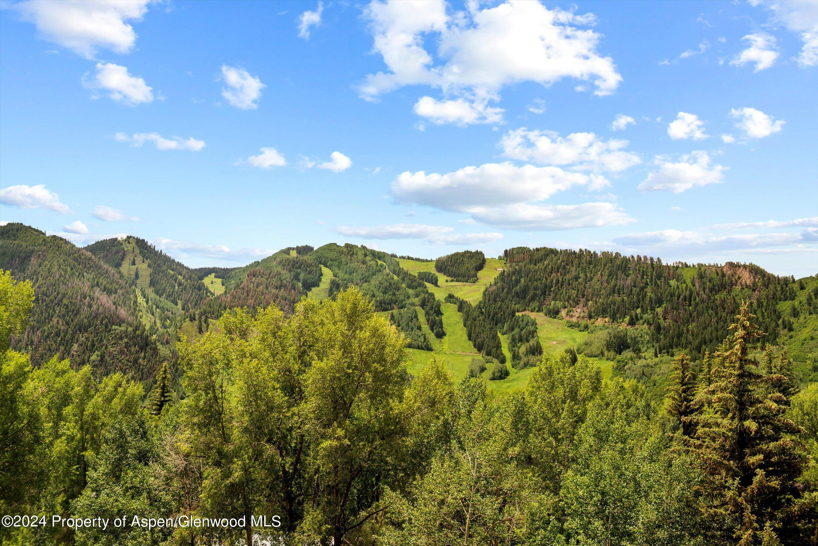 155 Lone Pine Road, Unit 8