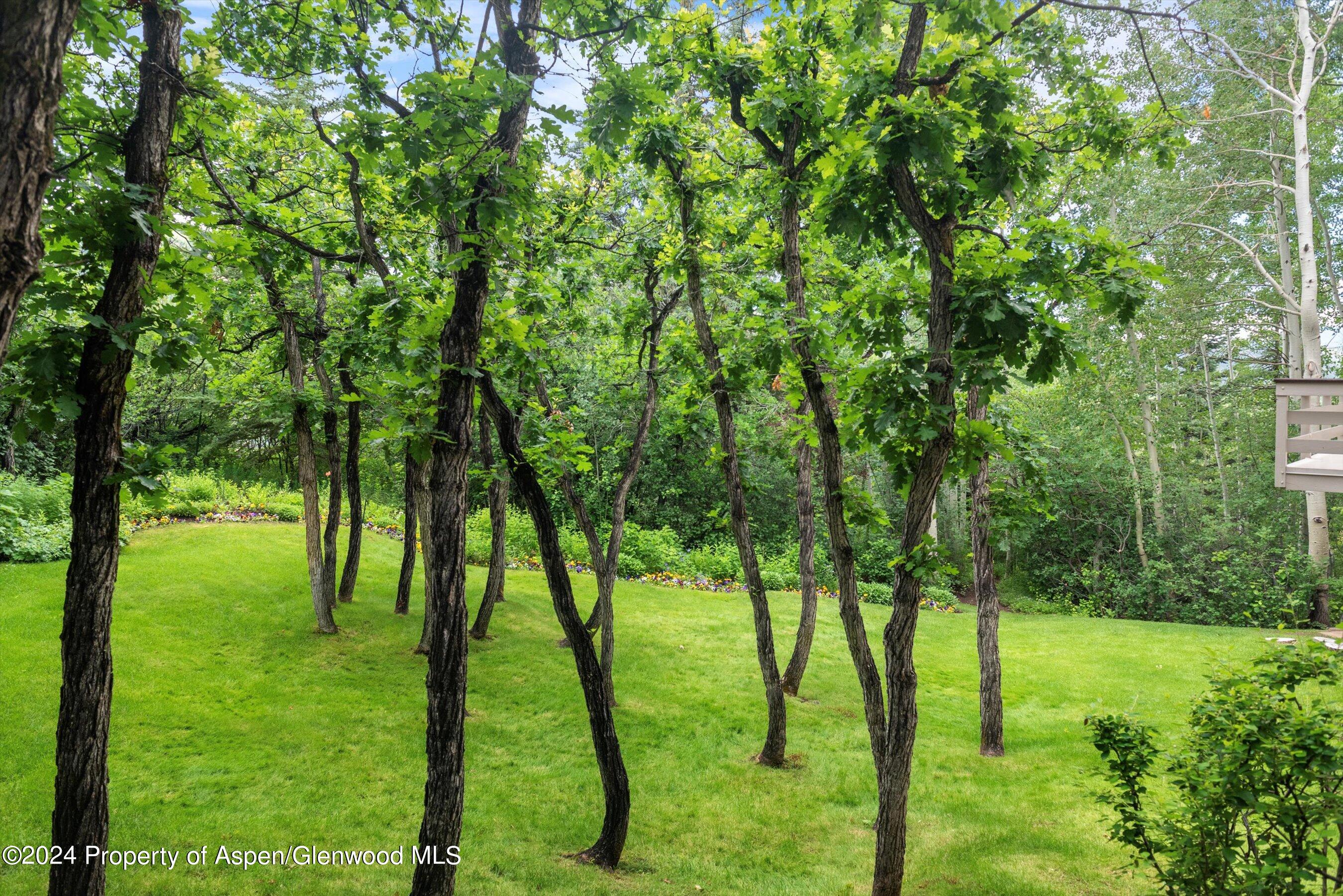 209 Larkspur Lane
