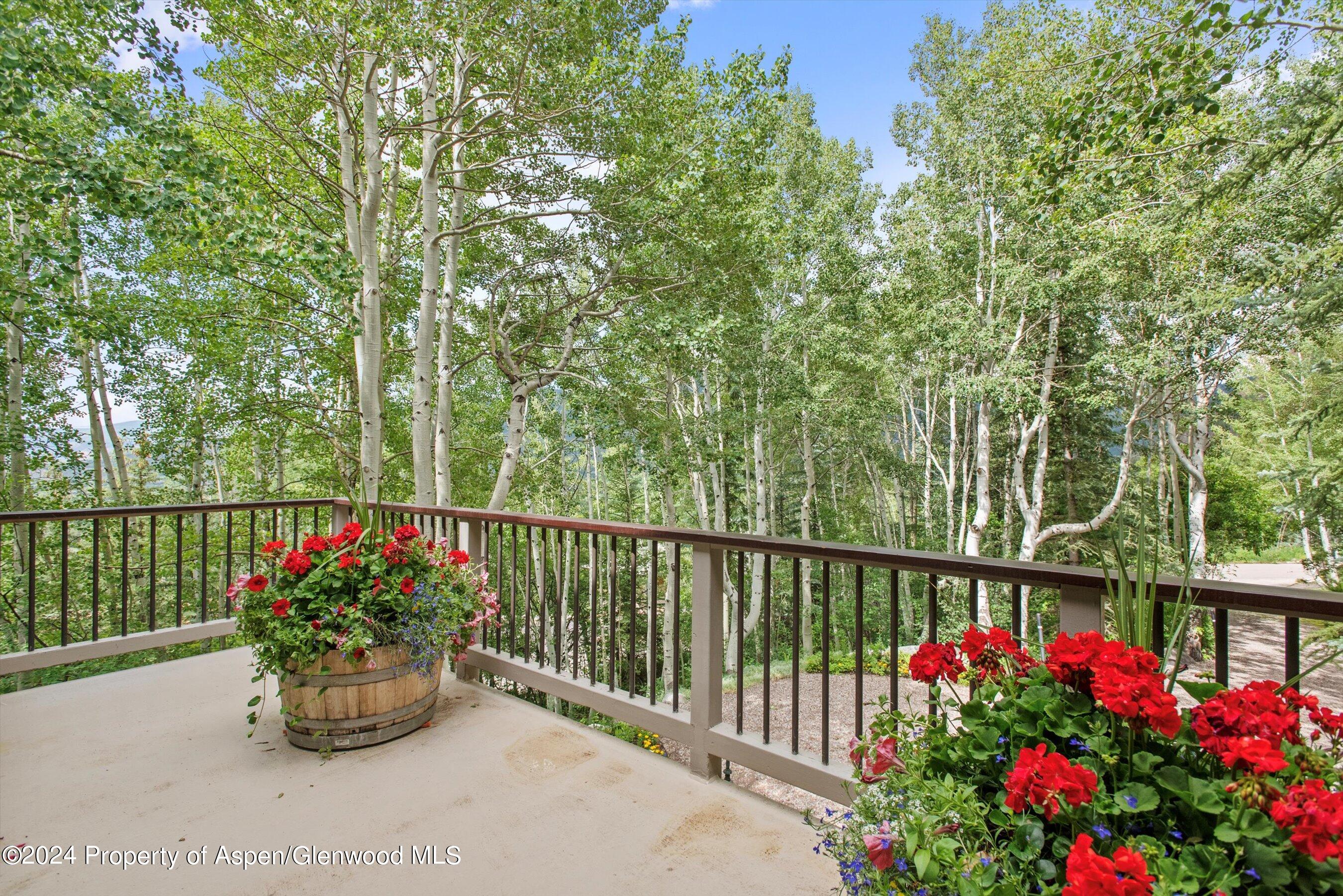 209 Larkspur Lane