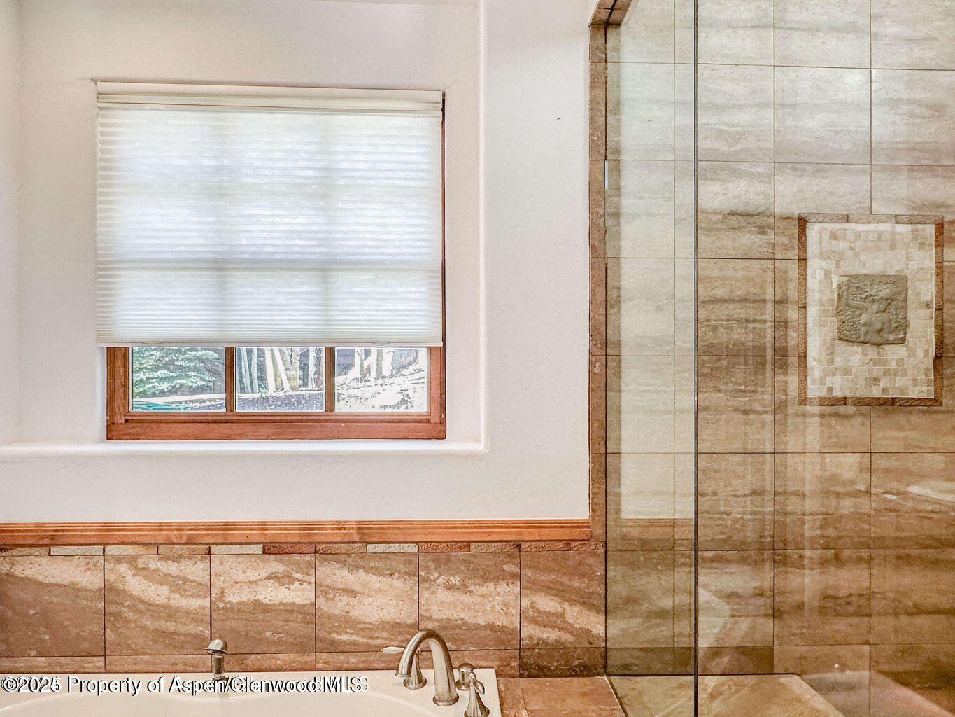 1540 Silver King Drive