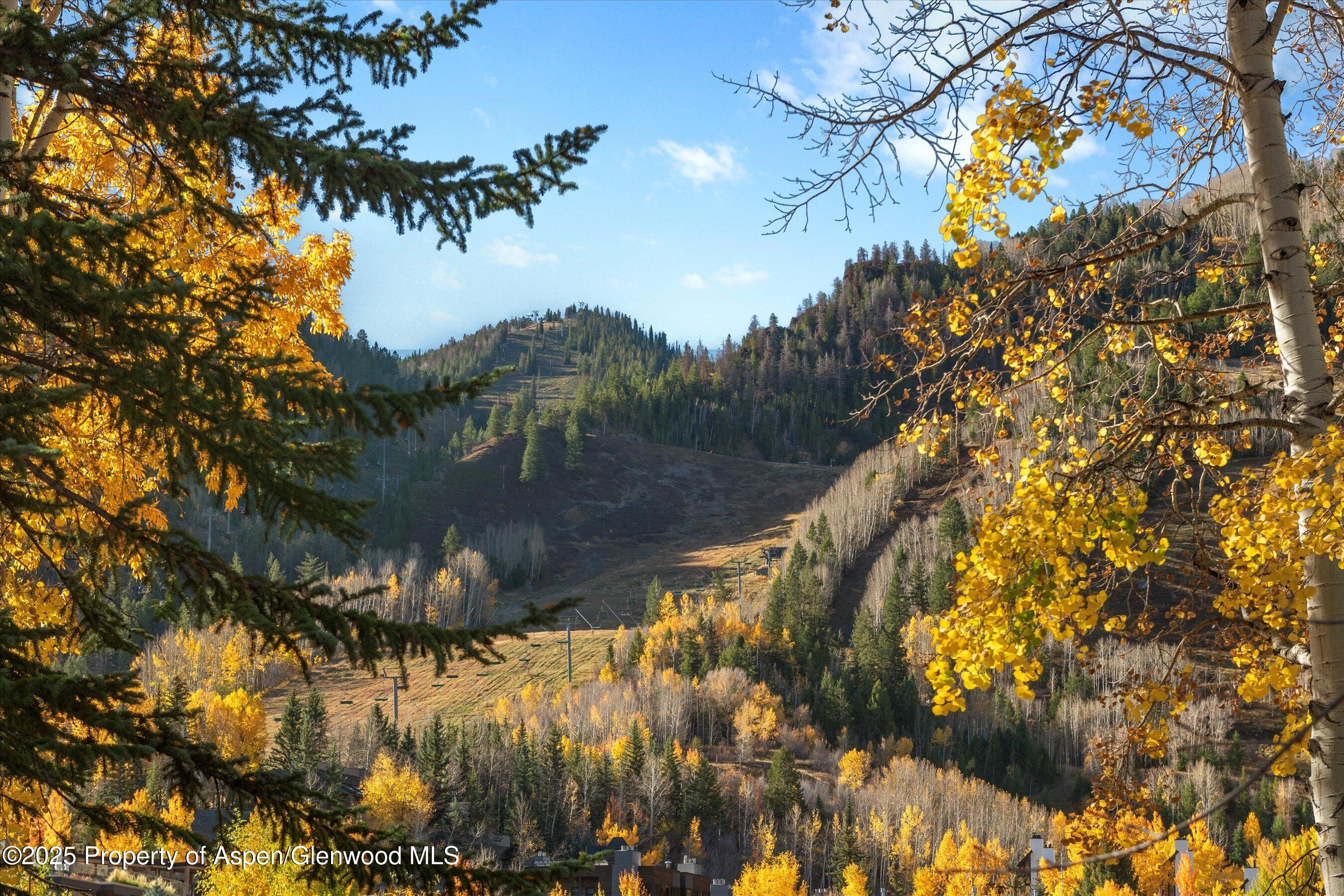 408 E Cooper Avenue, Aspen