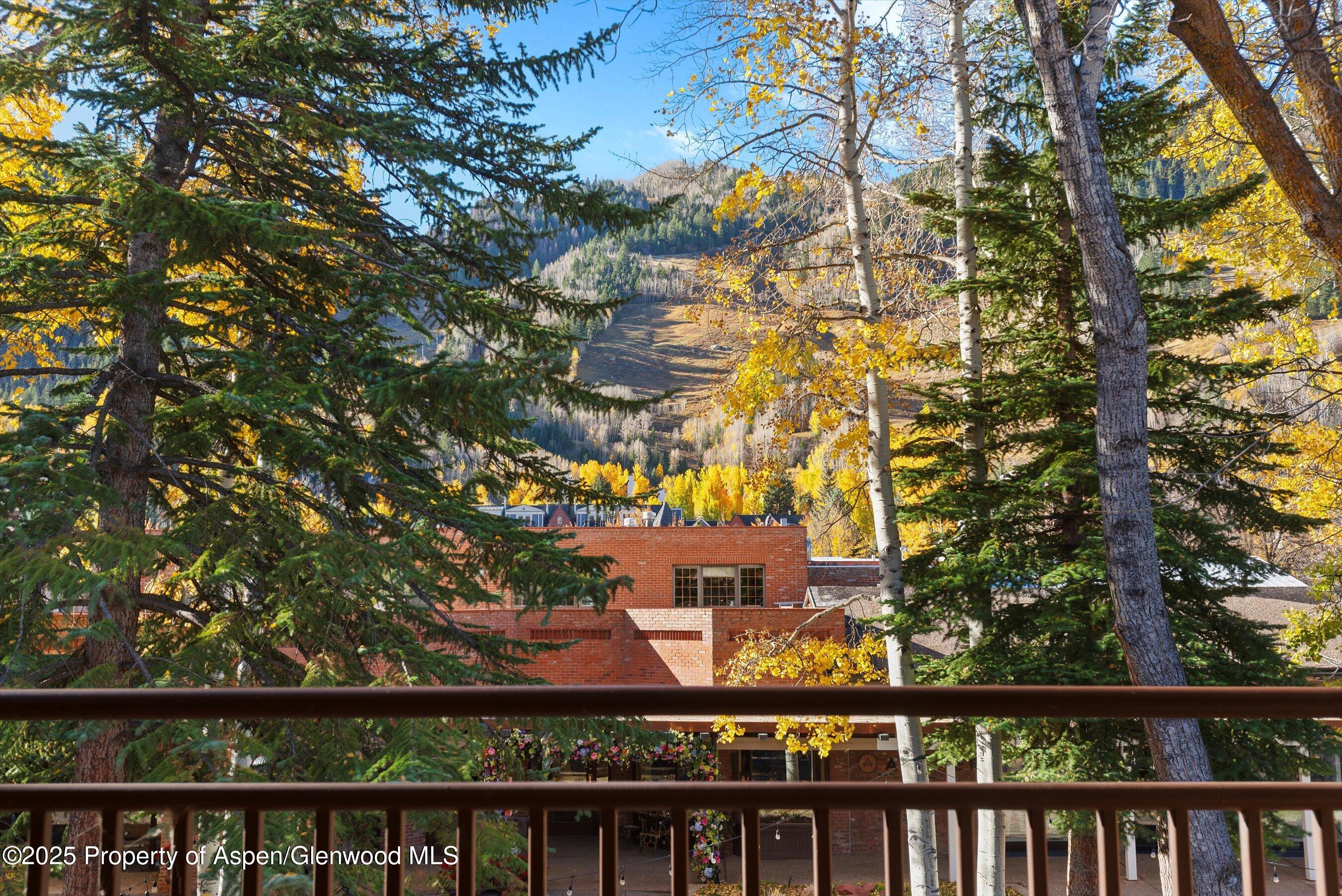 408 E Cooper Avenue, Aspen