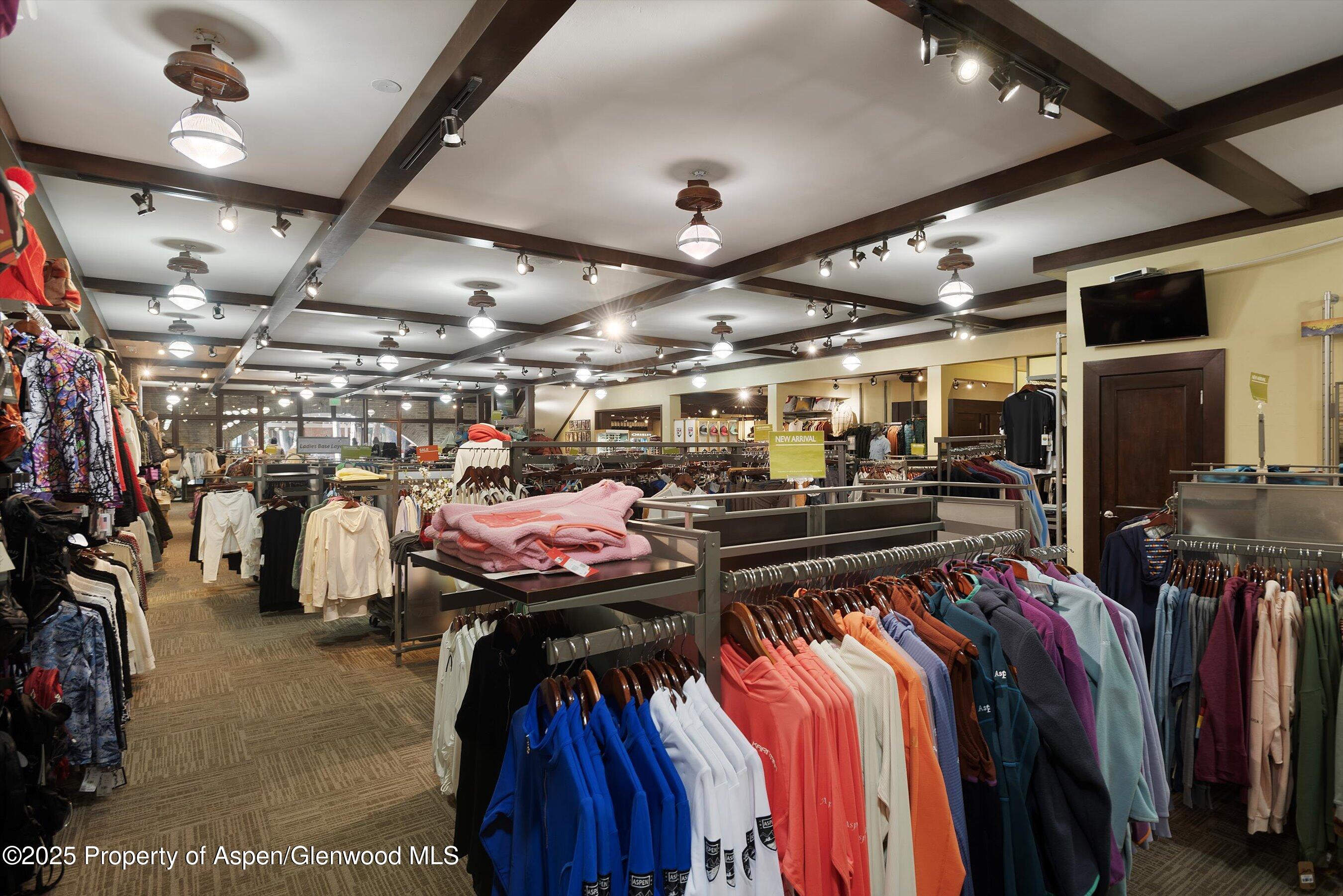 408 E Cooper Avenue, Aspen