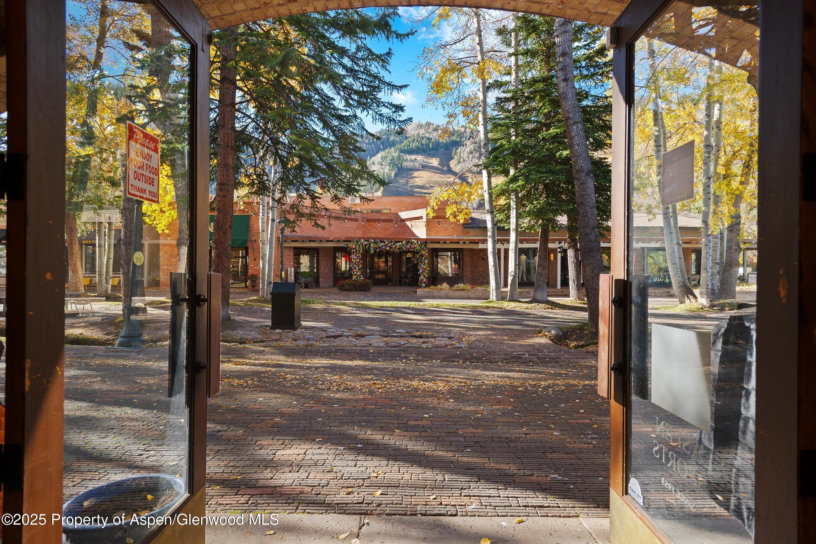 408 E Cooper Avenue, Aspen