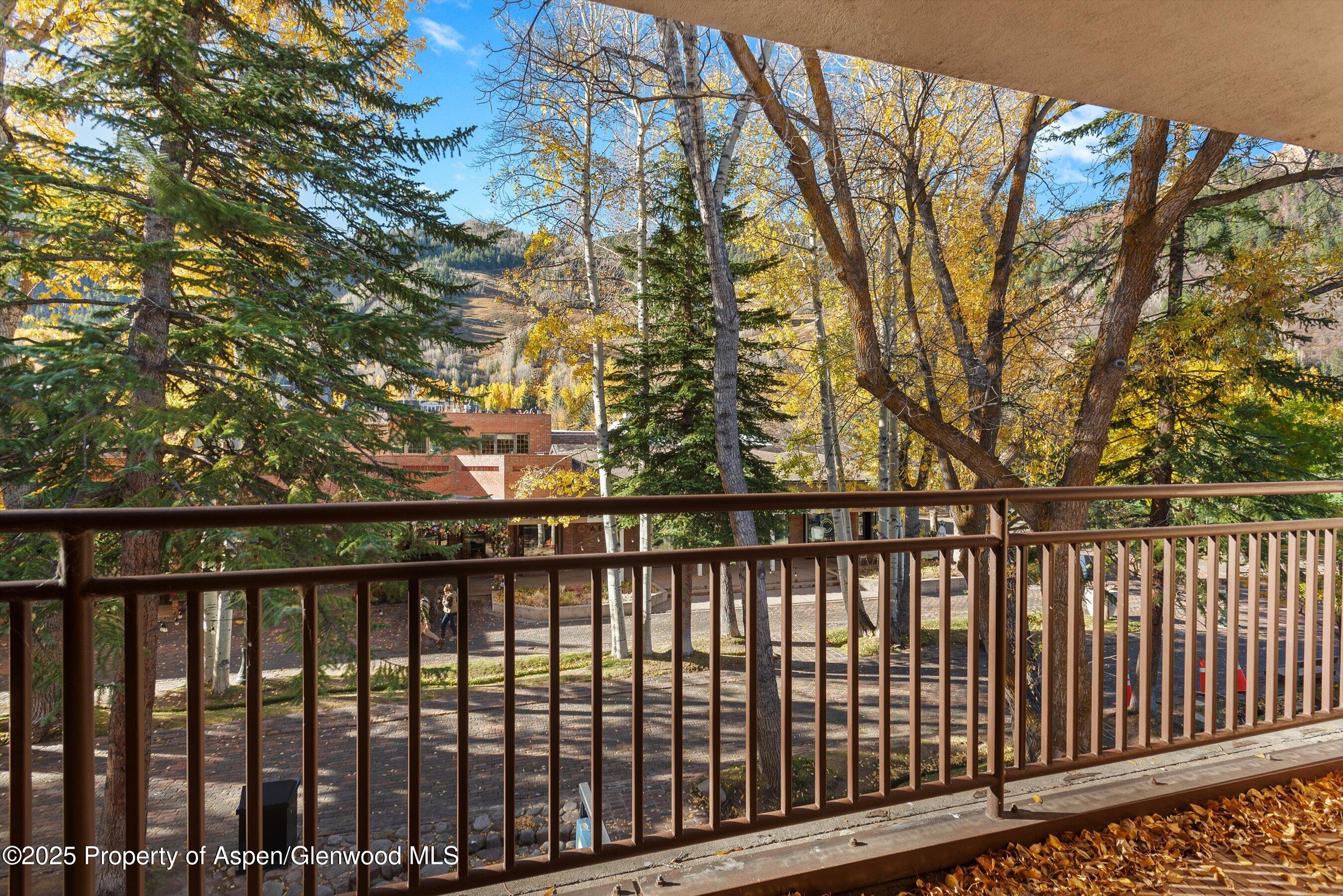 408 E Cooper Avenue, Aspen