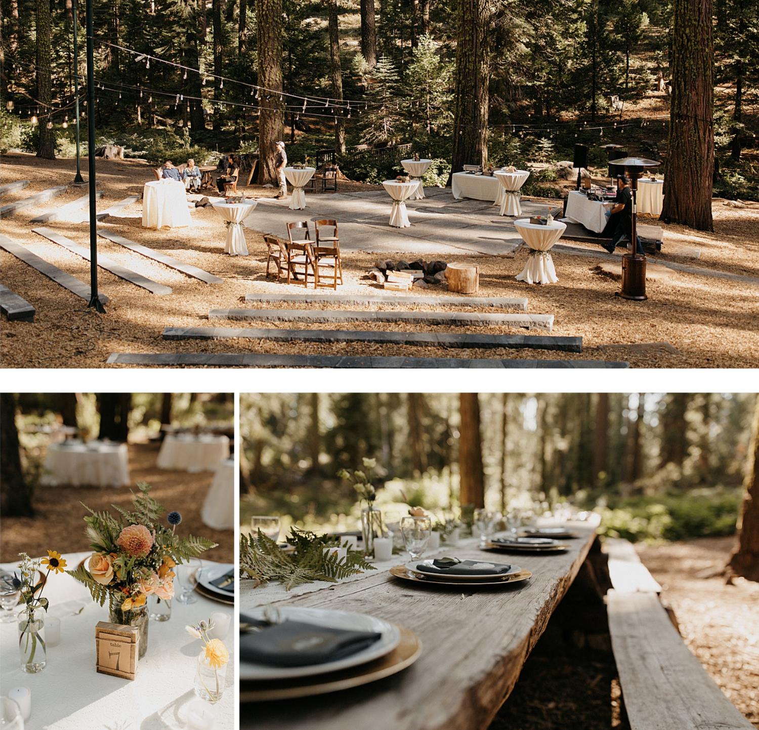 500 Dodge Ridge Road