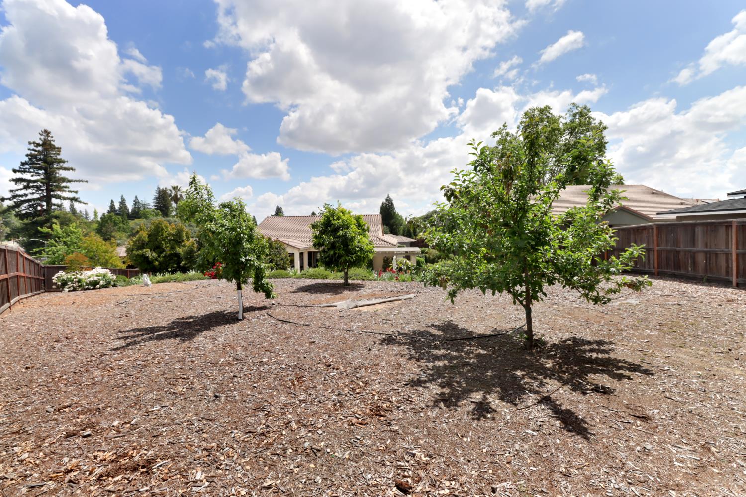 3545 Serramont Court