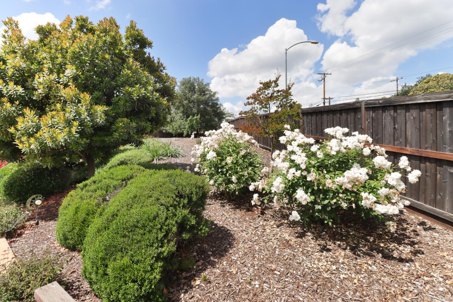 3545 Serramont Court