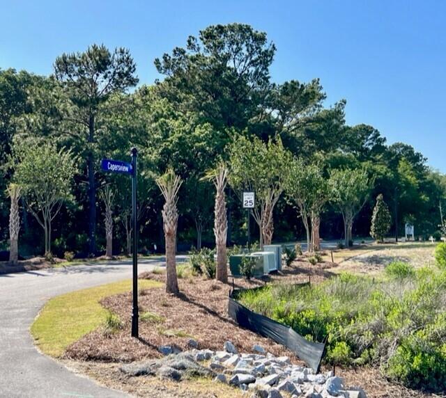 1069 Capersview Court