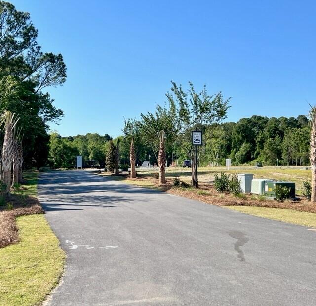 1069 Capersview Court
