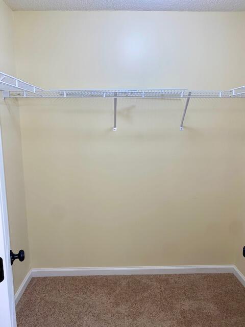 327 Dupont Way